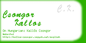 csongor kallos business card